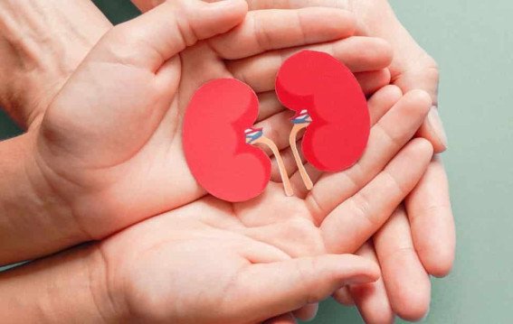 Breakthrough Scientists